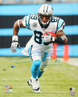Steve Smith Sr. Signed Panthers 16x20 Photo (Beckett) at PristineAuction.com
