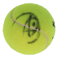 Novak Djokovic Signed Tennis Ball (Beckett) at PristineAuction.com