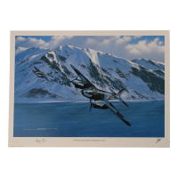 George Parry Signed Stan Stokes "Those Nagging Mosquitoes" Lithograph (AIV) at PristineAuction.com