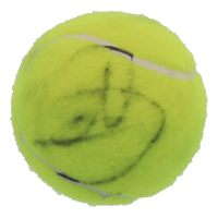 Novak Djokovic Signed Tennis Ball (JSA) at PristineAuction.com