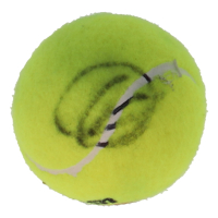 Novak Djokovic Signed Tennis Ball (JSA) at PristineAuction.com