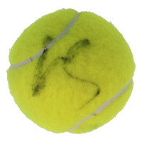 Juan Carlos Ferrero Signed Tennis Ball (JSA) at PristineAuction.com