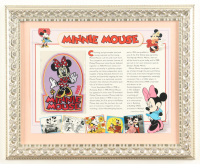 "Minnie Mouse" Custom Framed Patch Display at PristineAuction.com
