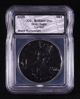 2025 Black Ruthenium American Silver Eagle - 1 of 500 (ICG BRILLIANT UNC) at PristineAuction.com