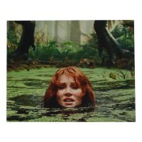 Bryce Dallas Howard Signed "Jurassic World" 11x14 Photo Inscribed "Claire" (ACOA) at PristineAuction.com