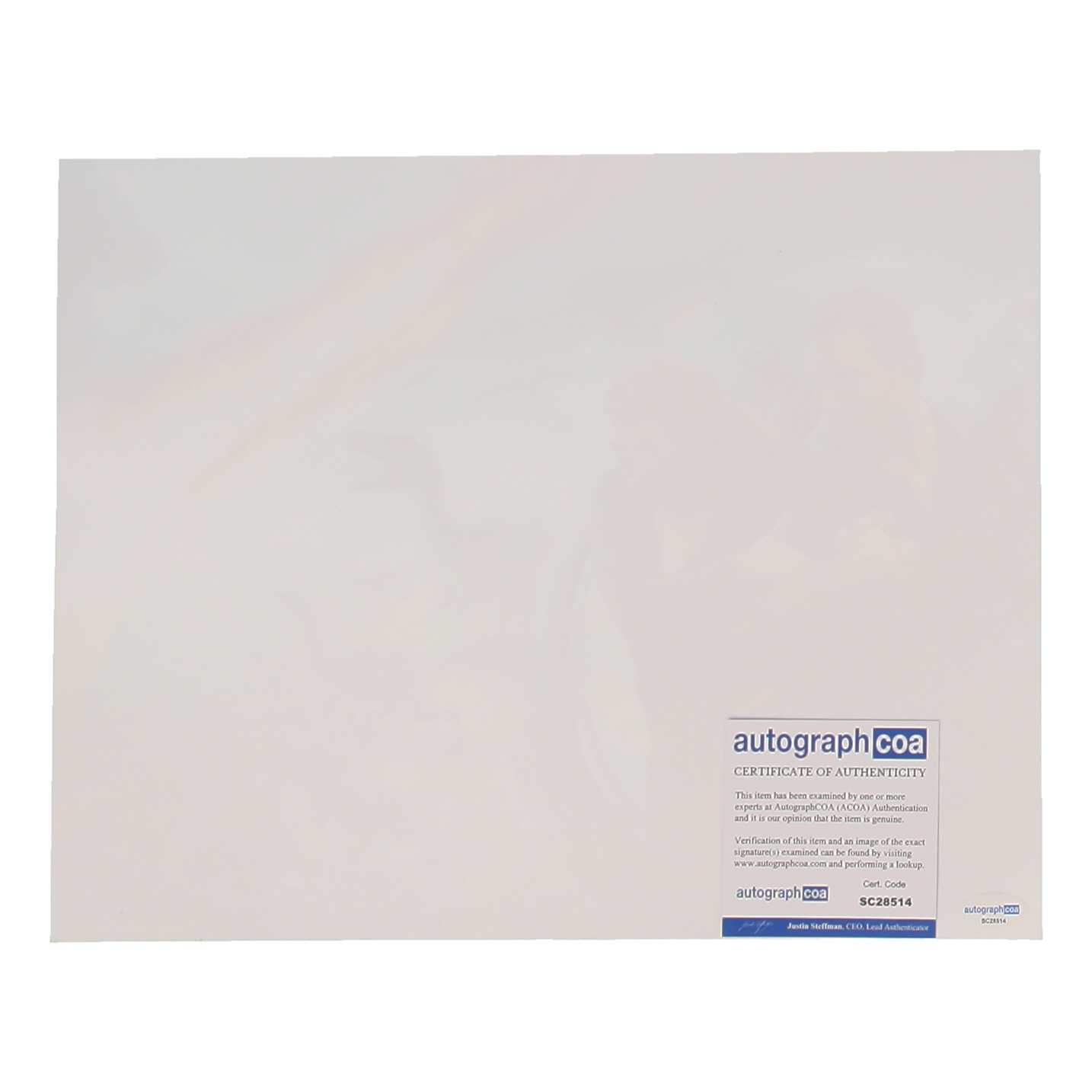 Bryce Dallas Howard Signed "Jurassic World" 11x14 Photo Inscribed "Claire" (ACOA) at PristineAuction.com Bryce Dallas Howard Signed "Jurassic World" 11x14 Photo Inscribed "Claire" (ACOA) at PristineAuction.com