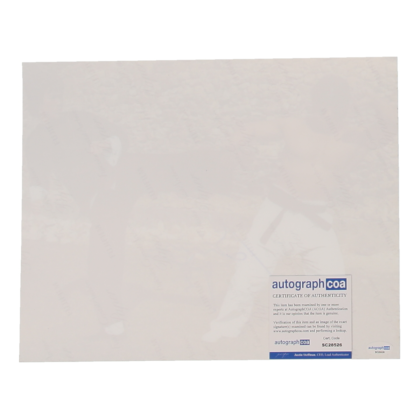 Bolo Yeung Signed "Enter the Dragon" 11x14 Photo (ACOA) at PristineAuction.com Bolo Yeung Signed "Enter the Dragon" 11x14 Photo (ACOA) at PristineAuction.com