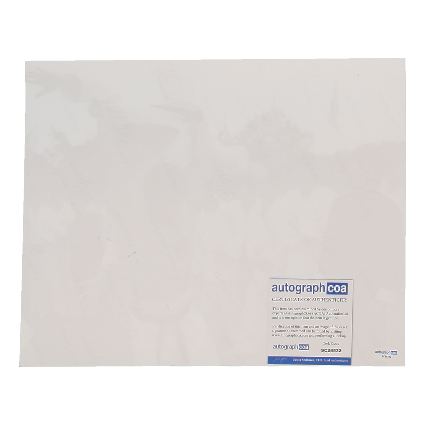 Bolo Yeung Signed "Enter the Dragon" 11x14 Photo (ACOA) at PristineAuction.com Bolo Yeung Signed "Enter the Dragon" 11x14 Photo (ACOA) at PristineAuction.com