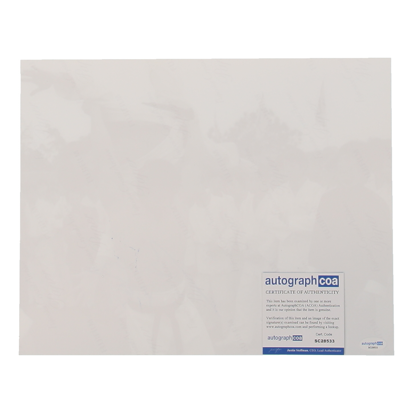 Bolo Yeung Signed "Enter the Dragon" 11x14 Photo (ACOA) at PristineAuction.com Bolo Yeung Signed "Enter the Dragon" 11x14 Photo (ACOA) at PristineAuction.com