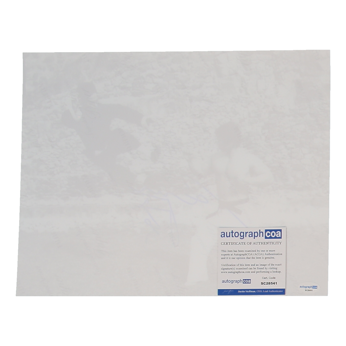 Bolo Yeung Signed "Enter the Dragon" 11x14 Photo (ACOA) at PristineAuction.com Bolo Yeung Signed "Enter the Dragon" 11x14 Photo (ACOA) at PristineAuction.com