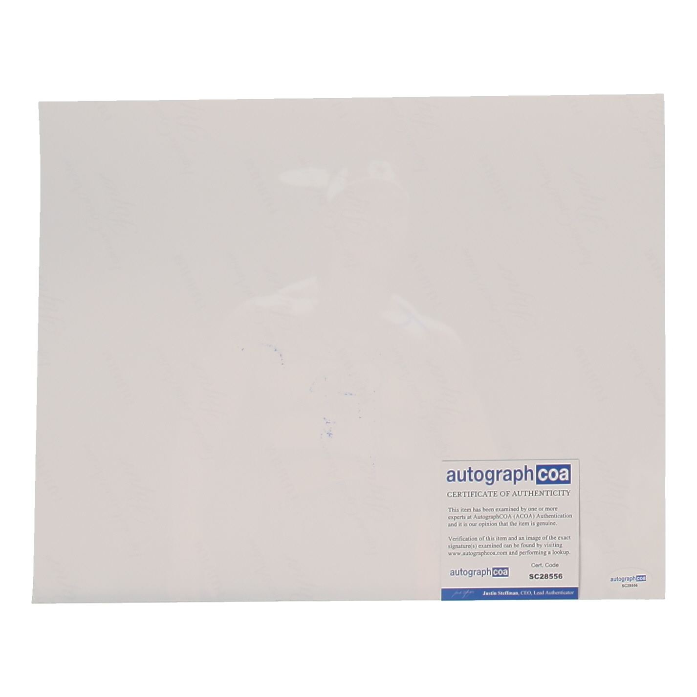 Bolo Yeung Signed "Bloodsport" 11x14 Photo (ACOA) at PristineAuction.com Bolo Yeung Signed "Bloodsport" 11x14 Photo (ACOA) at PristineAuction.com