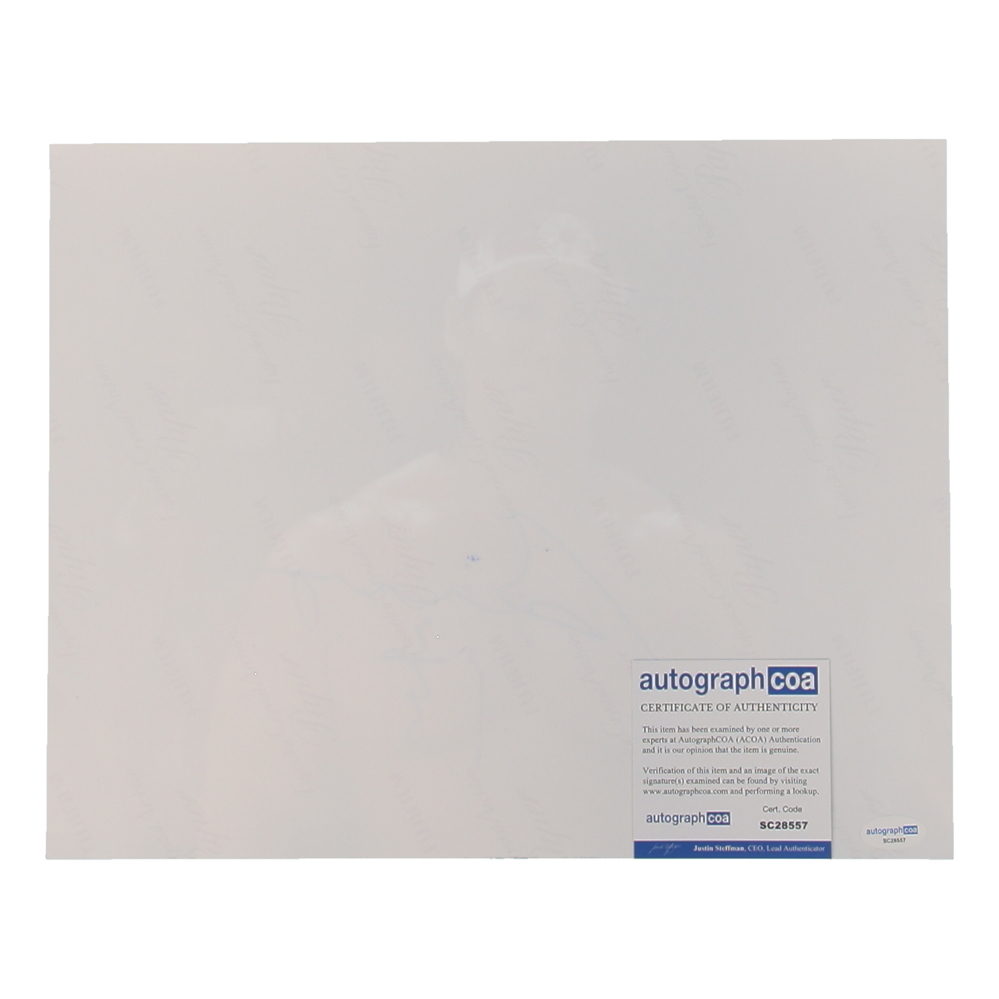 Bolo Yeung Signed "Bloodsport" 11x14 Photo (ACOA) at PristineAuction.com Bolo Yeung Signed "Bloodsport" 11x14 Photo (ACOA) at PristineAuction.com