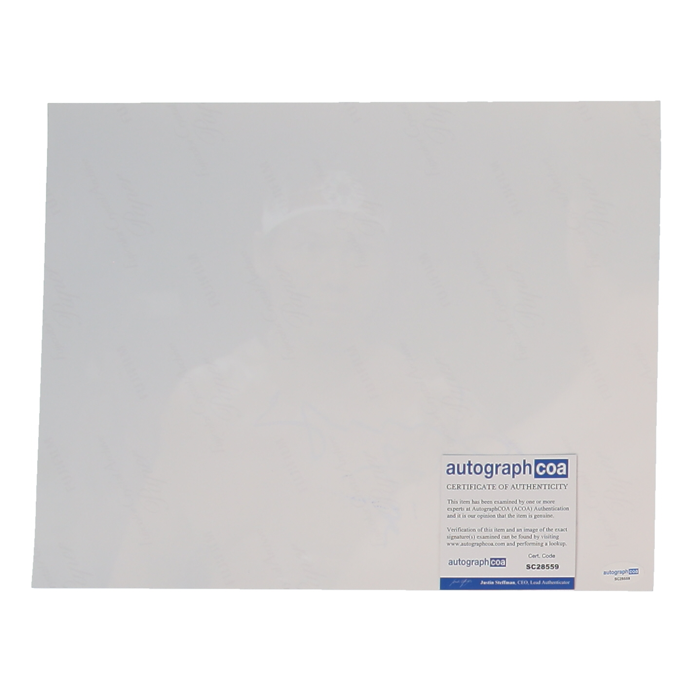 Bolo Yeung Signed "Bloodsport" 11x14 Photo (ACOA) at PristineAuction.com Bolo Yeung Signed "Bloodsport" 11x14 Photo (ACOA) at PristineAuction.com