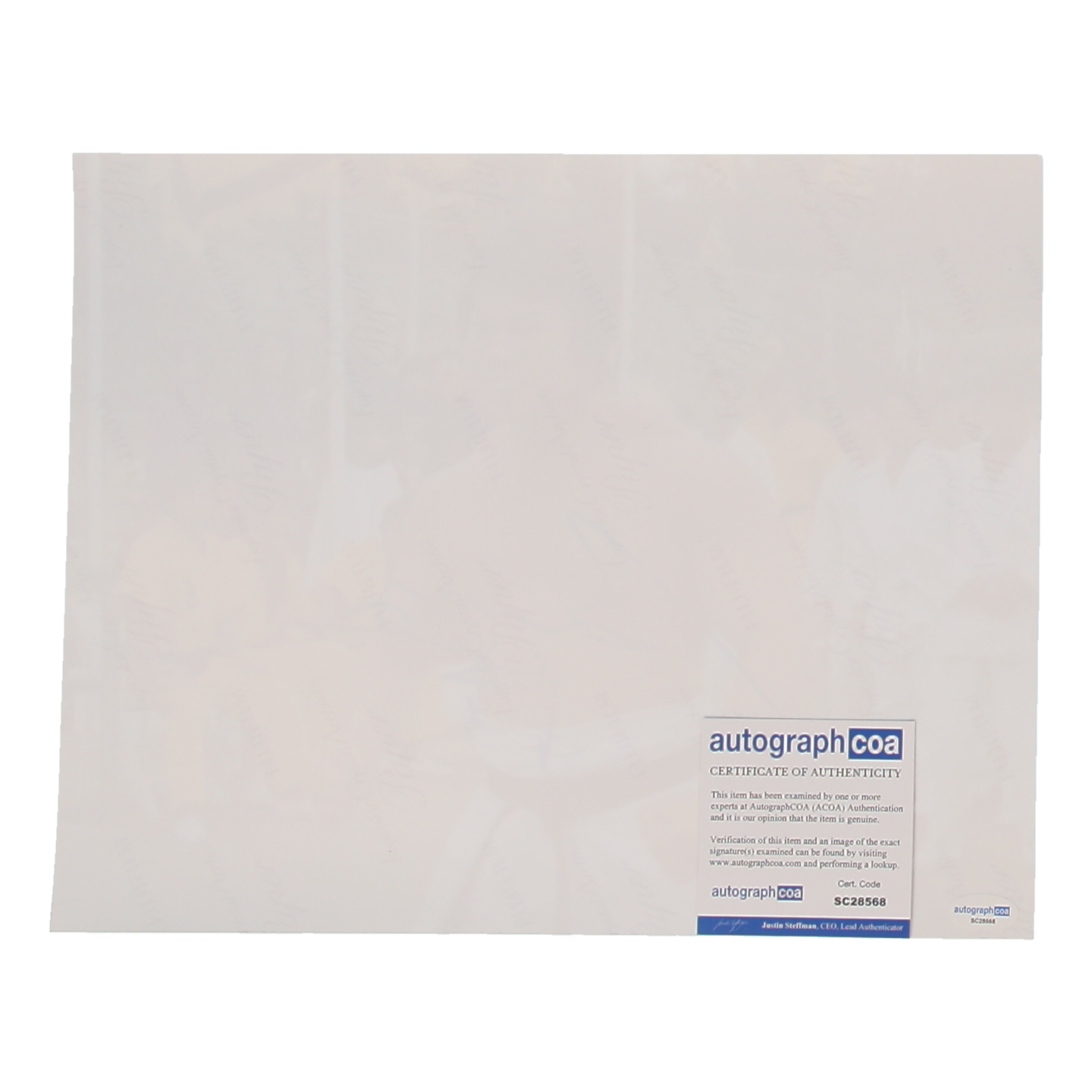 Bolo Yeung Signed "Enter the Dragon" 11x14 Photo (ACOA) at PristineAuction.com Bolo Yeung Signed "Enter the Dragon" 11x14 Photo (ACOA) at PristineAuction.com