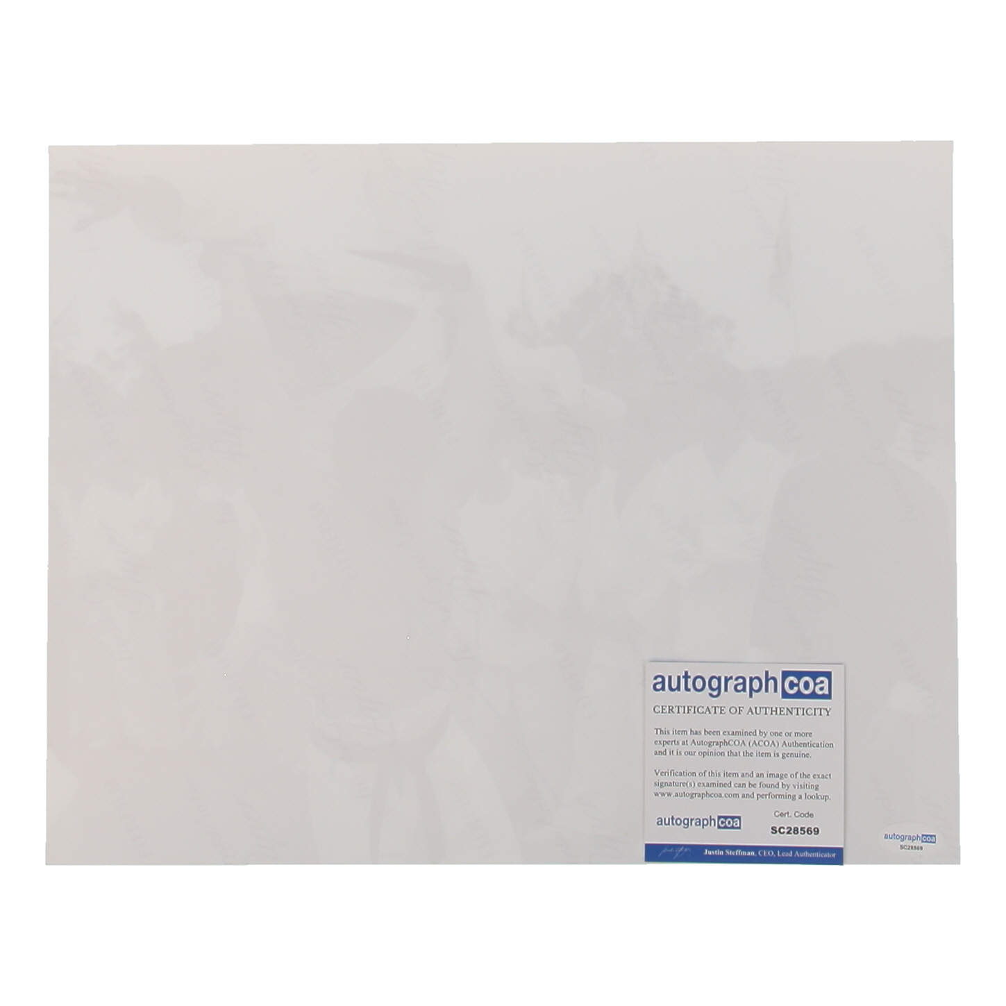 Bolo Yeung Signed "Enter the Dragon" 11x14 Photo (ACOA) at PristineAuction.com Bolo Yeung Signed "Enter the Dragon" 11x14 Photo (ACOA) at PristineAuction.com