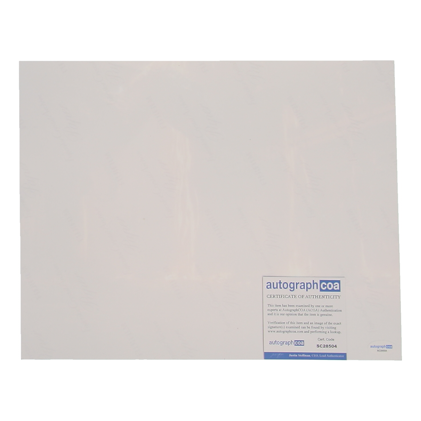 Bryce Dallas Howard Signed "Jurassic World" 11x14 Photo Inscribed "Claire" (ACOA) at PristineAuction.com Bryce Dallas Howard Signed "Jurassic World" 11x14 Photo Inscribed "Claire" (ACOA) at PristineAuction.com