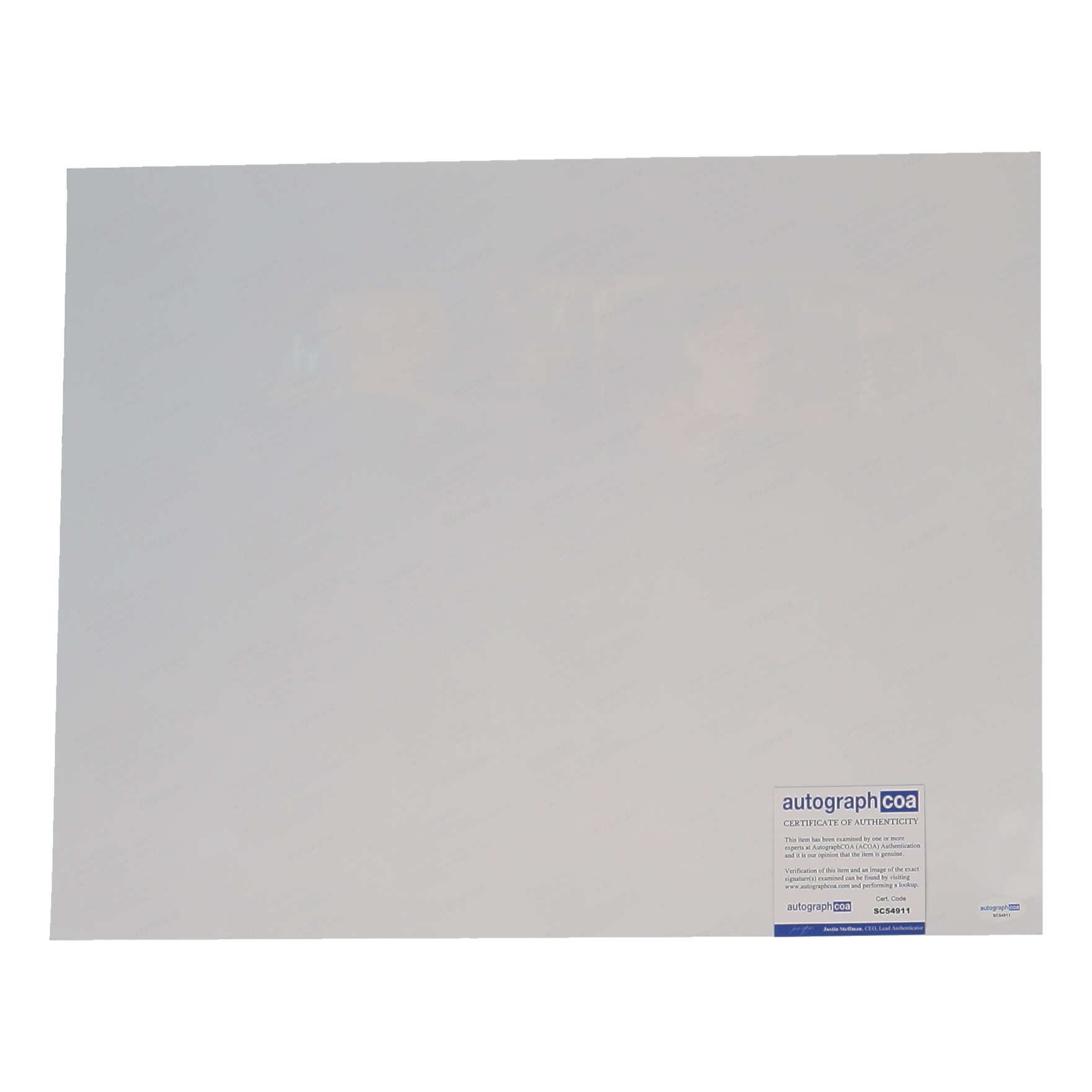 Christopher Lloyd Signed "Back to the Future" 16x20 Photo (ACOA) at PristineAuction.com Christopher Lloyd Signed "Back to the Future" 16x20 Photo (ACOA) at PristineAuction.com