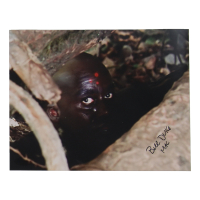 Bill Duke Signed "The Predator" 8x10 Photo Inscribed "Mac" (ACOA) at PristineAuction.com