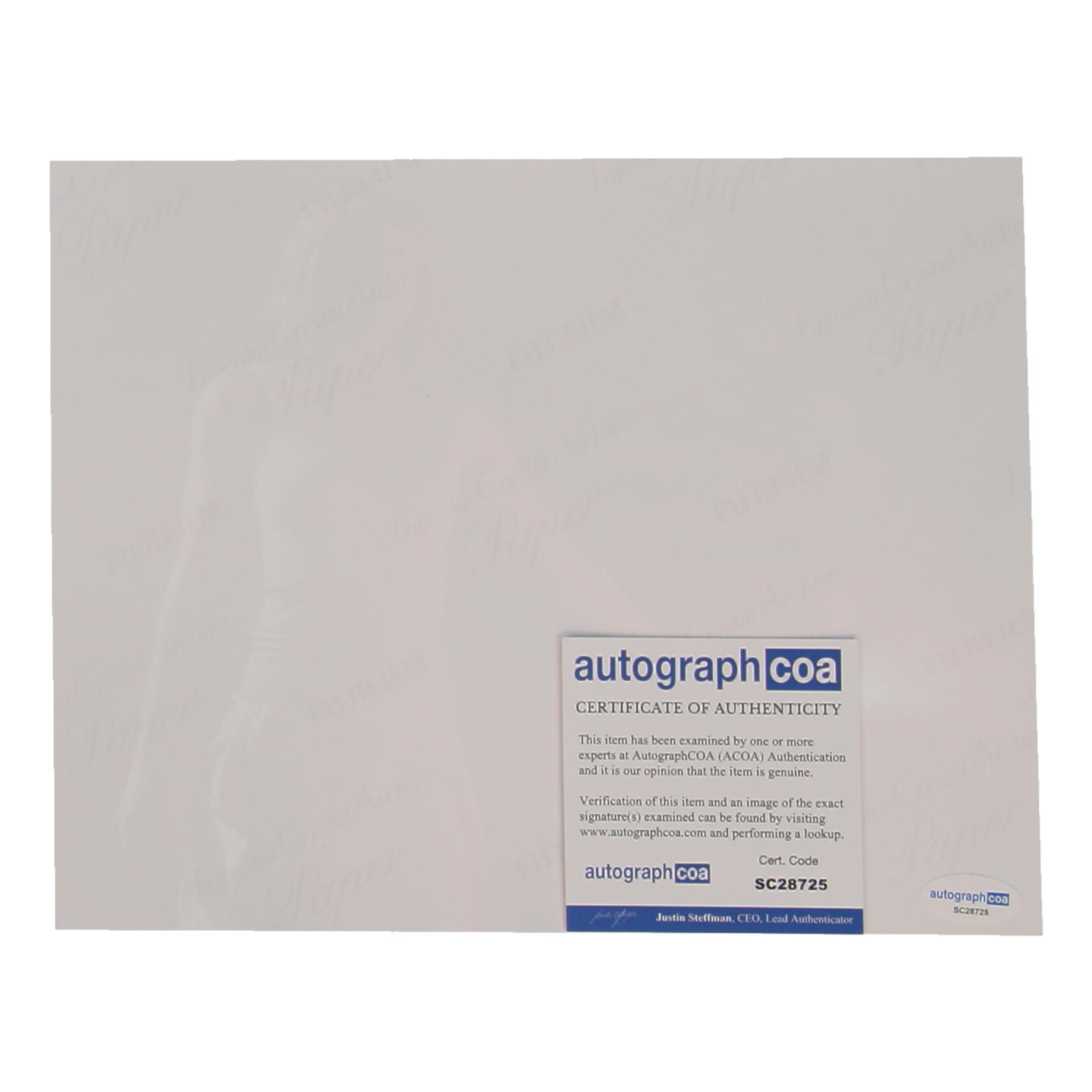 Bryce Dallas Howard Signed "Jurassic World" 8x10 Photo Inscribed "Claire" (ACOA) at PristineAuction.com Bryce Dallas Howard Signed "Jurassic World" 8x10 Photo Inscribed "Claire" (ACOA) at PristineAuction.com