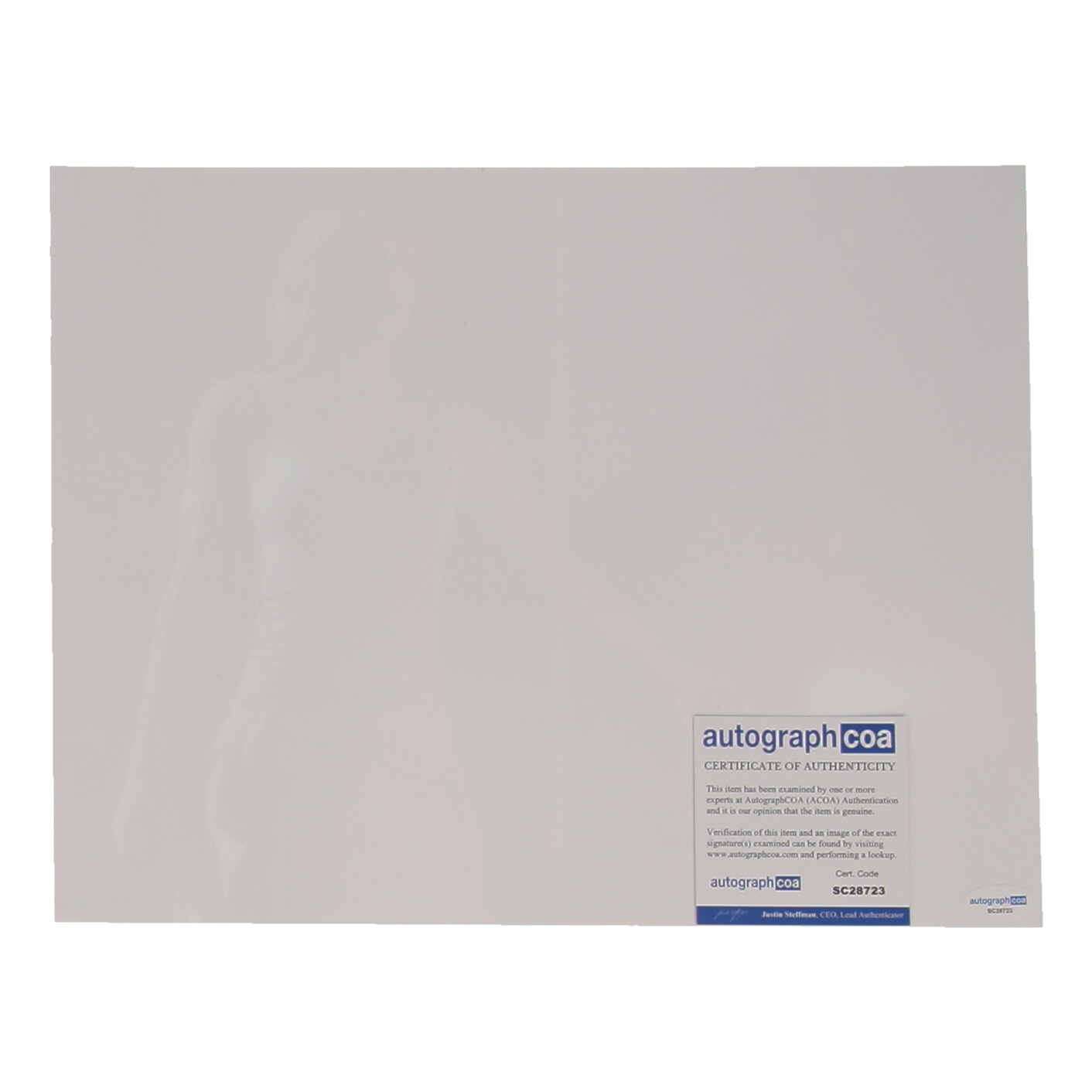 Bryce Dallas Howard Signed "Jurassic World" 11x14 Photo Inscribed "Claire" (ACOA) at PristineAuction.com Bryce Dallas Howard Signed "Jurassic World" 11x14 Photo Inscribed "Claire" (ACOA) at PristineAuction.com