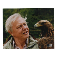 David Attenborough Signed 8x10 Photo (Beckett) at PristineAuction.com