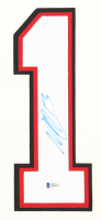Nico Hischier Signed Jersey Number (Beckett) at PristineAuction.com