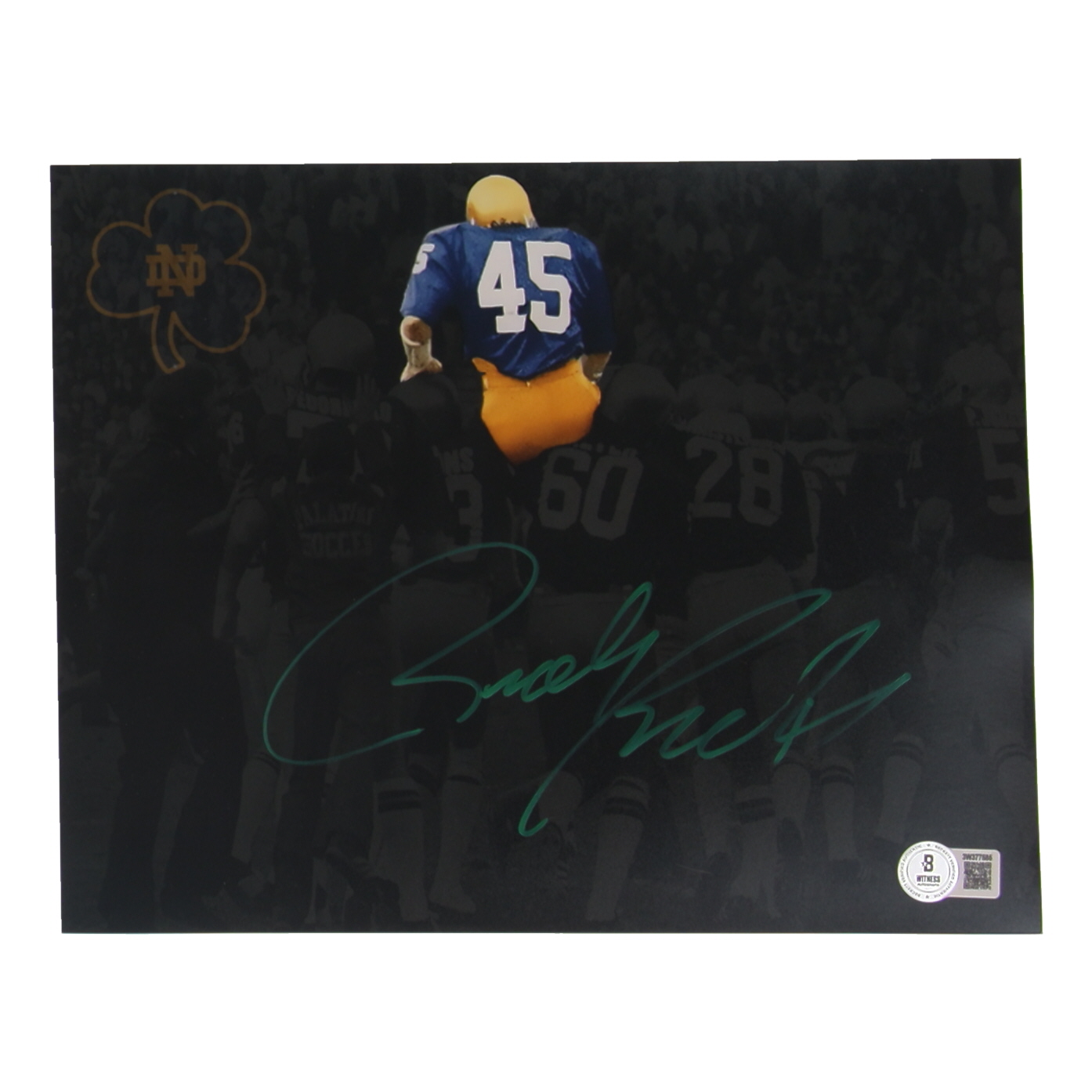 Rudy Ruettiger Signed Notre Dame Fighting Irish 8x10 Photo (Beckett) at PristineAuction.com Rudy Ruettiger Signed Notre Dame Fighting Irish 8x10 Photo (Beckett) at PristineAuction.com