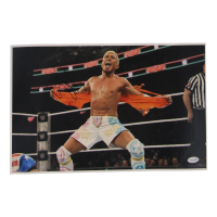 Tozawa Signed WWE 11x17 Photo (ACOA) at PristineAuction.com