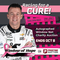 Window of Hope: Aj Allmendinger Signed #16 Driver Window Net at PristineAuction.com