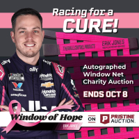 Window of Hope: Alex Bowman Signed #48 Driver Window Net at PristineAuction.com