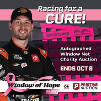 Window of Hope: Chase Briscoe Signed #19 Driver Window Net at PristineAuction.com