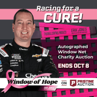 Window of Hope: Kyle Busch Signed #8 Driver Window Net at PristineAuction.com