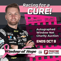 Window of Hope: William Byron Signed #24 Driver Window Net at PristineAuction.com