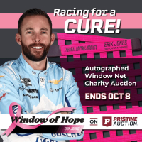 Window of Hope: Ross Chastain Signed #1 Driver Window Net at PristineAuction.com