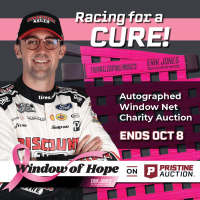 Window of Hope: Austin Cindric Signed #2 Driver Window Net at PristineAuction.com