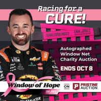 Window of Hope: Austin Dillon Signed #3 Driver Window Net at PristineAuction.com