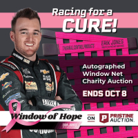 Window of Hope: Ty Dillon Signed #10 Driver Window Net at PristineAuction.com