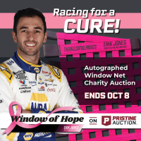 Window of Hope: Chase Elliott Signed #9 Driver Window Net at PristineAuction.com