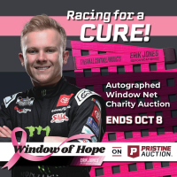 Window of Hope: Ty Gibbs Signed #54 Driver Window Net at PristineAuction.com