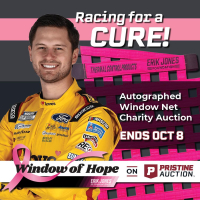 Window of Hope: Todd Gilliland Signed #34 Driver Window Net at PristineAuction.com