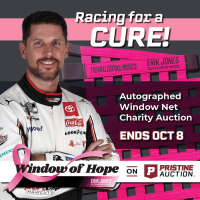 Window of Hope: Denny Hamlin Signed #11 Driver Window Net at PristineAuction.com