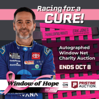 Window of Hope: Jimmie Johnson Signed Driver Window Net at PristineAuction.com