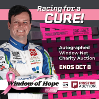 Window of Hope: Erik Jones Signed #43 Driver Window Net at PristineAuction.com