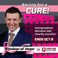 Window of Hope: Matt Kenseth Signed Driver Window Net at PristineAuction.com