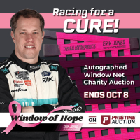 Window of Hope: Brad Keselowski Signed #6 Driver Window Net at PristineAuction.com
