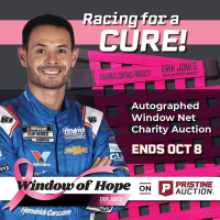 Window of Hope: Kyle Larson Signed #5 Driver Window Net at PristineAuction.com