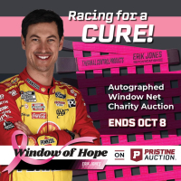 Window of Hope: Joey Logano Signed #22 Driver Window Net at PristineAuction.com
