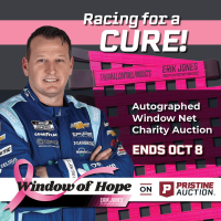 Window of Hope: Michael Mcdowell Signed #71 Driver Window Net at PristineAuction.com