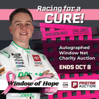 Window of Hope: John Hunter Nemechek Signed #42 Driver Window Net at PristineAuction.com