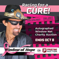 Window of Hope: Richard Petty Signed Driver Window Net at PristineAuction.com